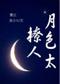 月色太撩人小说封面